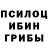 Псилоцибиновые грибы мухоморы James Massey