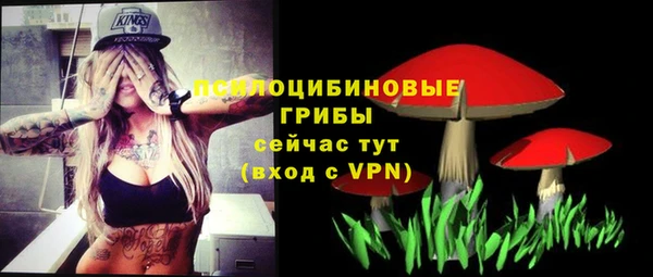 синтетический гашиш Алексеевка