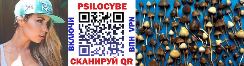 наркошоп  Куровское  Псилоцибиновые грибы GOLDEN TEACHER 